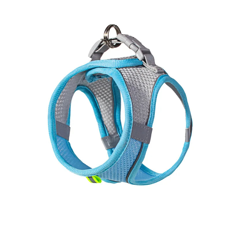 Puppy Harness Set Dog