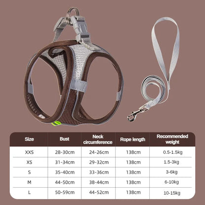 Puppy Harness Set Dog