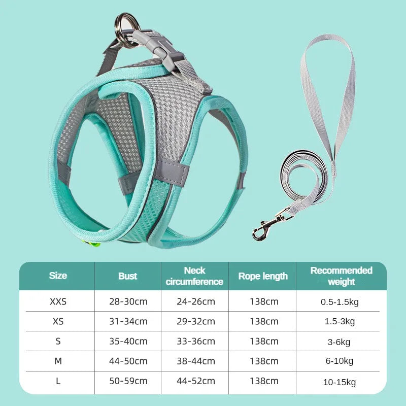 Puppy Harness Set Dog
