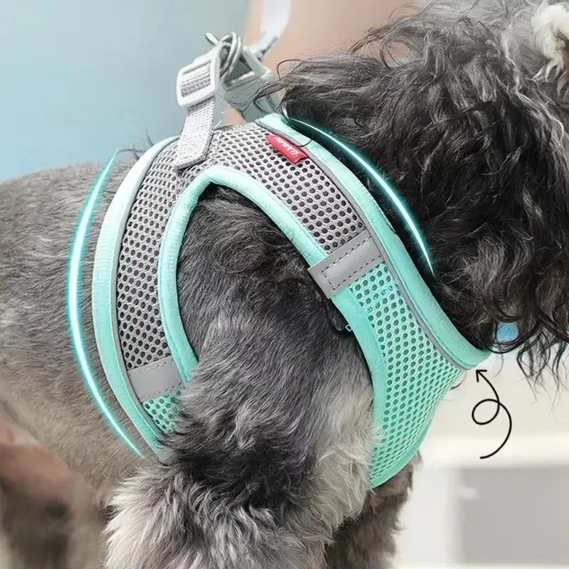 Puppy Harness Set Dog