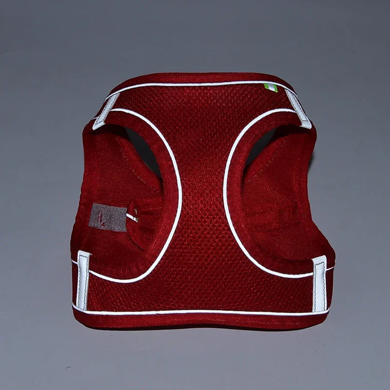 Puppy Harness Set Dog