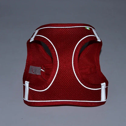 Puppy Harness Set Dog
