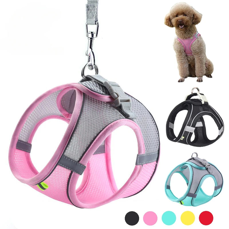 Puppy Harness Set Dog