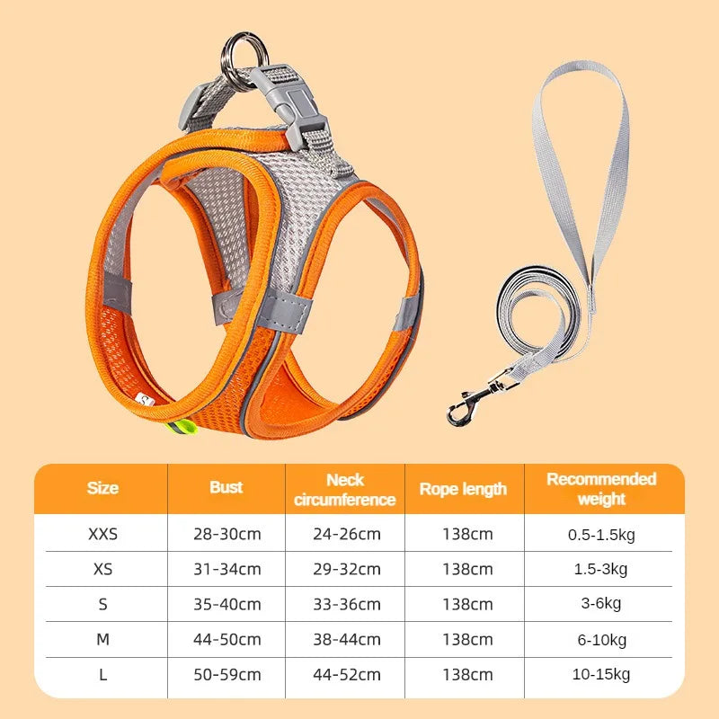 Puppy Harness Set Dog