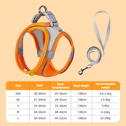 Puppy Harness Set Dog