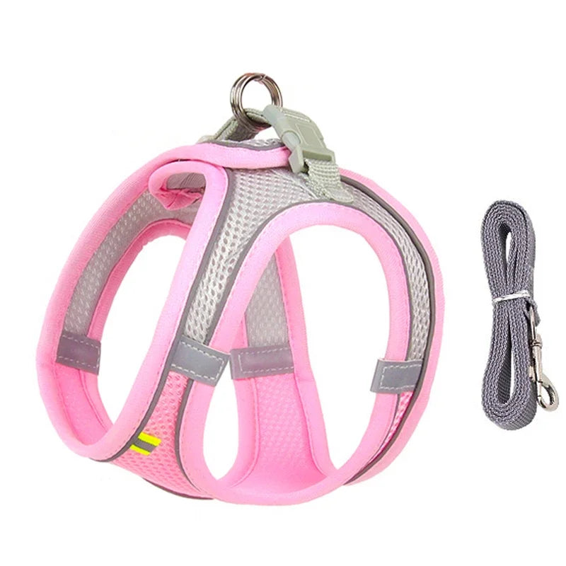 Puppy Harness Set Dog