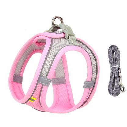 Puppy Harness Set Dog
