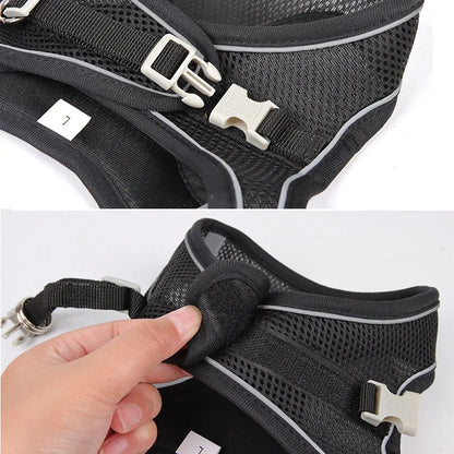 Puppy Harness Set Dog