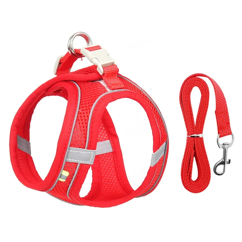 Puppy Harness Set Dog