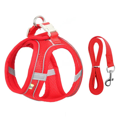 Puppy Harness Set Dog