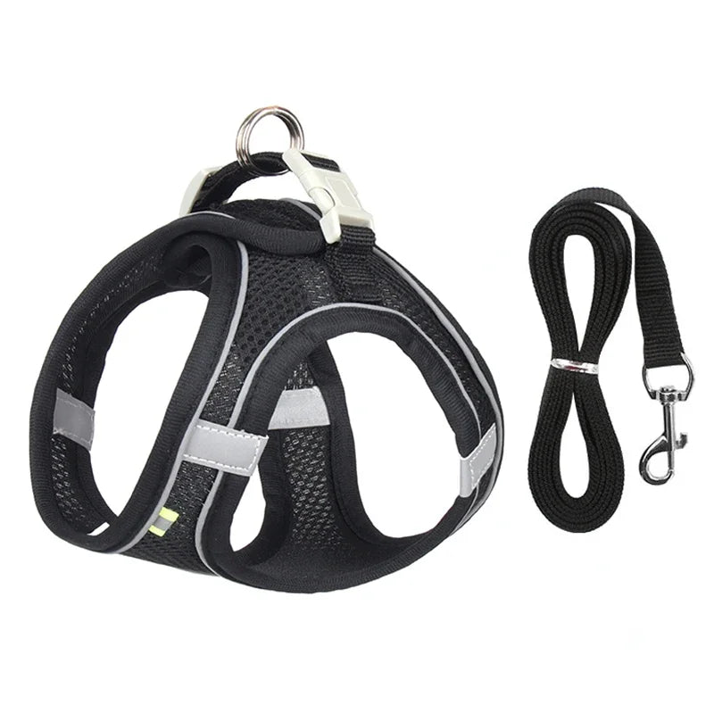Puppy Harness Set Dog